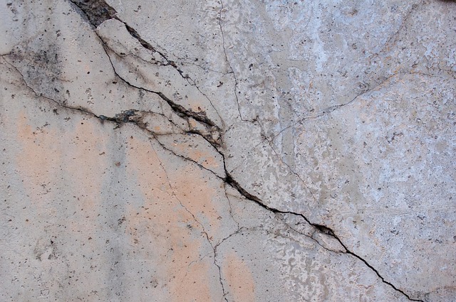 crack sealing Albany
