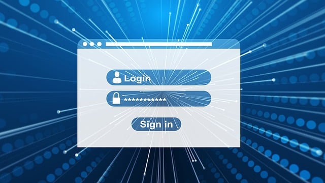 custom website design Albany