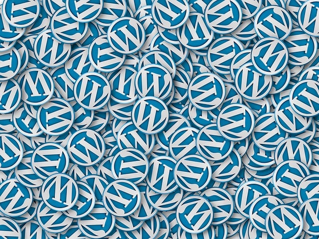 custom website design Albany