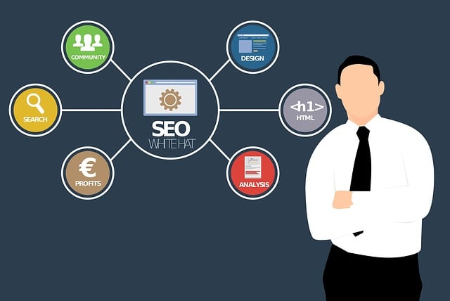 custom website design Albany