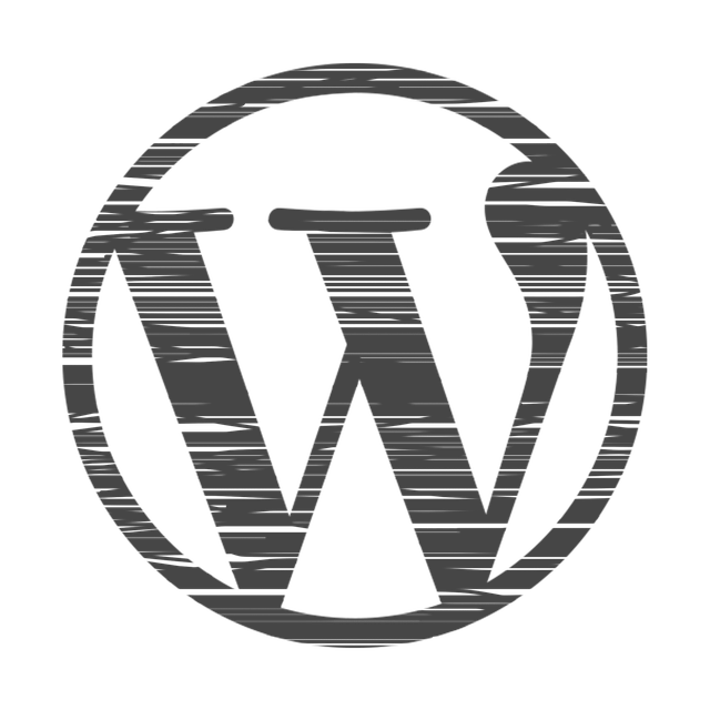 custom website design Albany