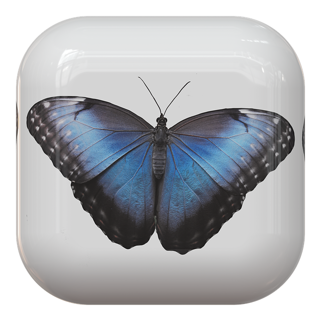 custom website design Albany