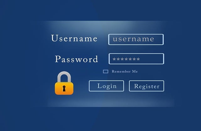 custom website design Albany