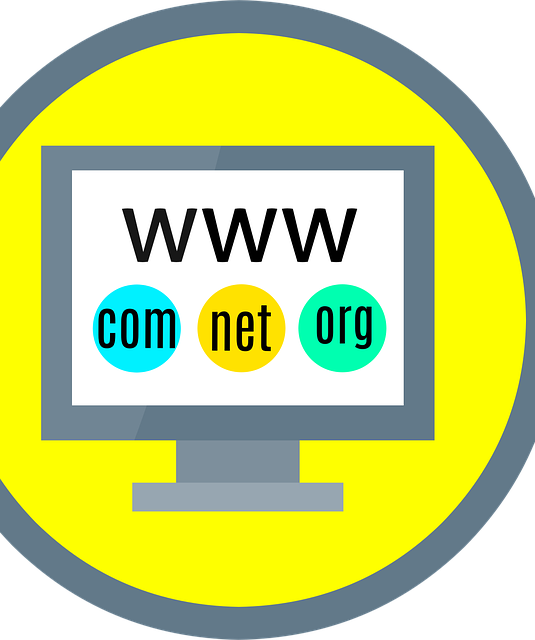 custom website design Albany