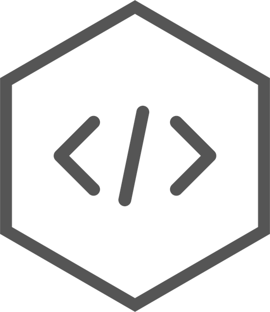 custom website design Albany