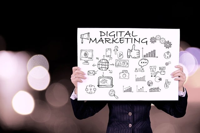 digital marketing agency Albany