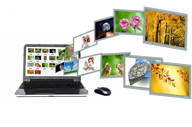 digital marketing agency Albany