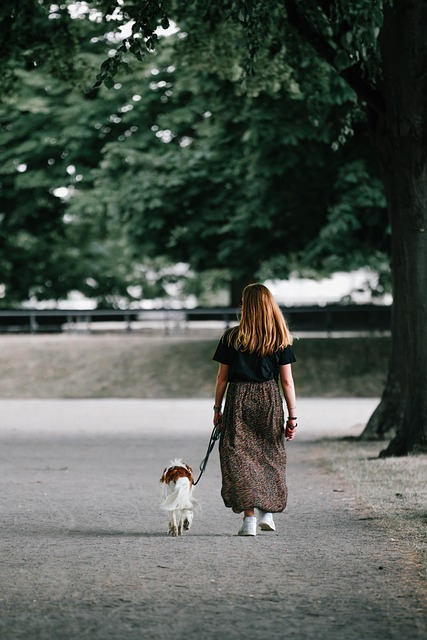 Dog parks near pet friendly apartments Albany