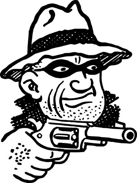 Experienced Criminal Lawyer Albany