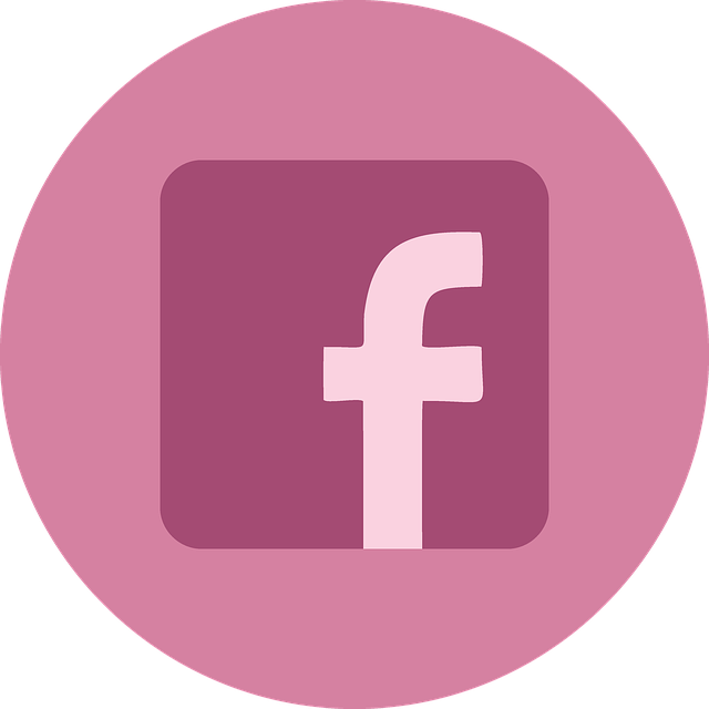 Facebook Ads agency Albany