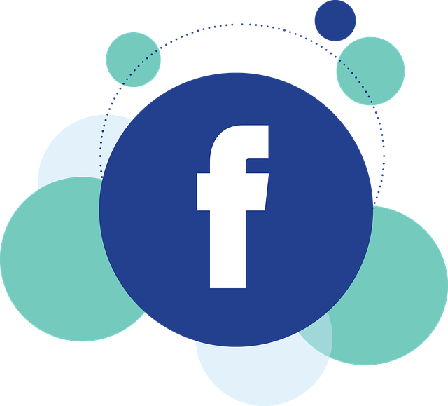 Facebook Ads agency Albany