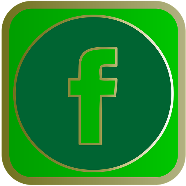 Facebook Ads agency Albany