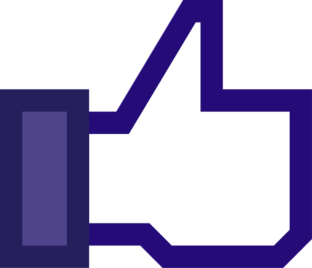 Facebook Ads agency Albany