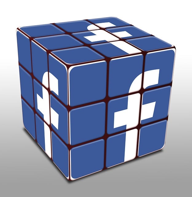 Facebook Ads agency Albany