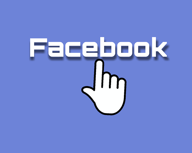 Facebook Ads agency Albany
