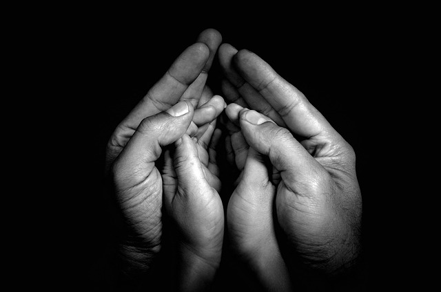 Family Law Services Albany