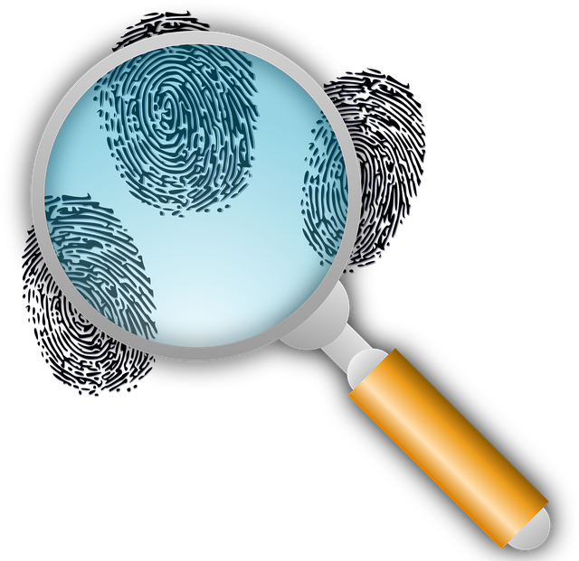 Free Criminal Consultation Albany
