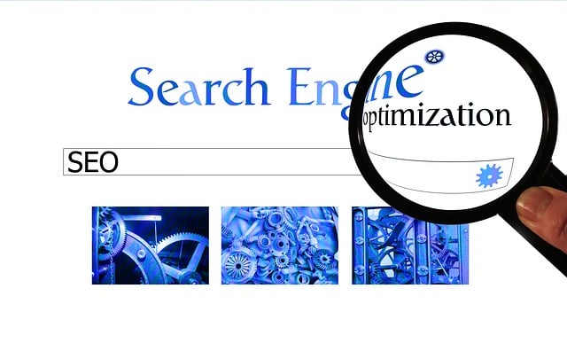Google Ads management agency Albany