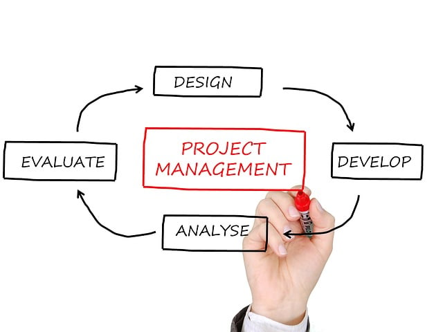 Google Ads management agency Albany
