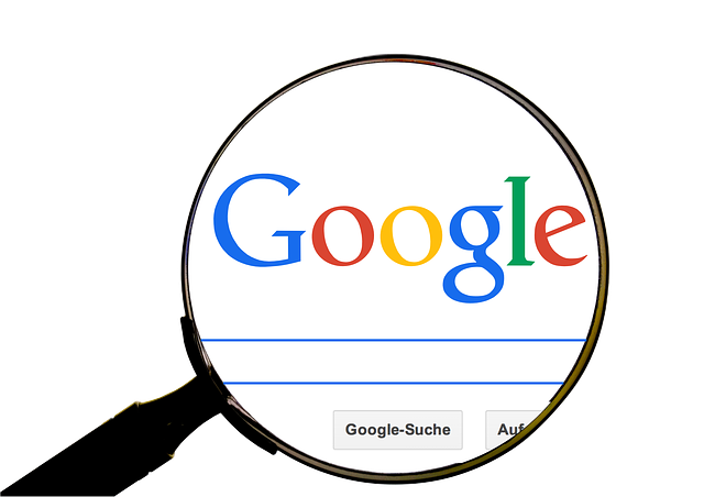Google Ads management agency Albany