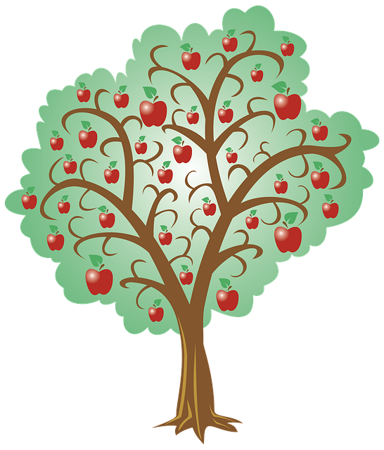 graphic-designer-albany-640x480-95841916.png