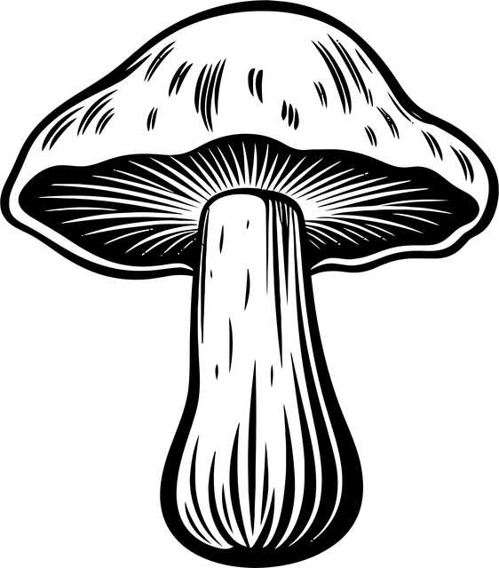 how-to-file-for-divorce-in-albany-ny-640x480-87364858.png