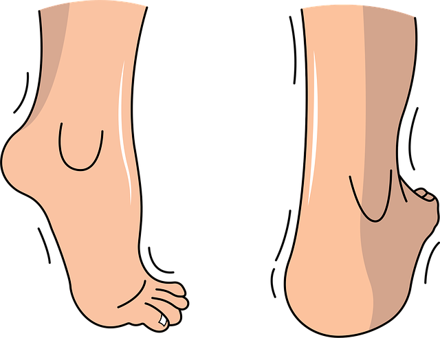 Injury Lawyer Consultation Albany