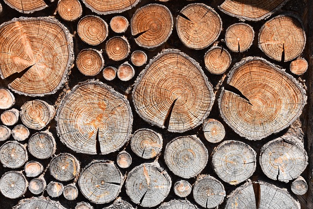 Laminated Wood Beams for Construction