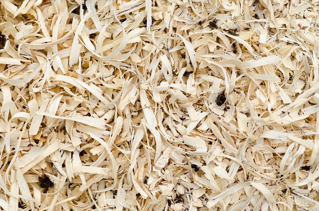 Laminated Wood Beams for Construction