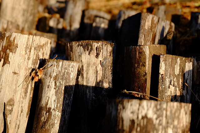 Laminated Wood Beams for Construction