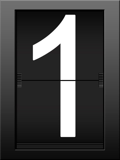 paving project timeline Albany