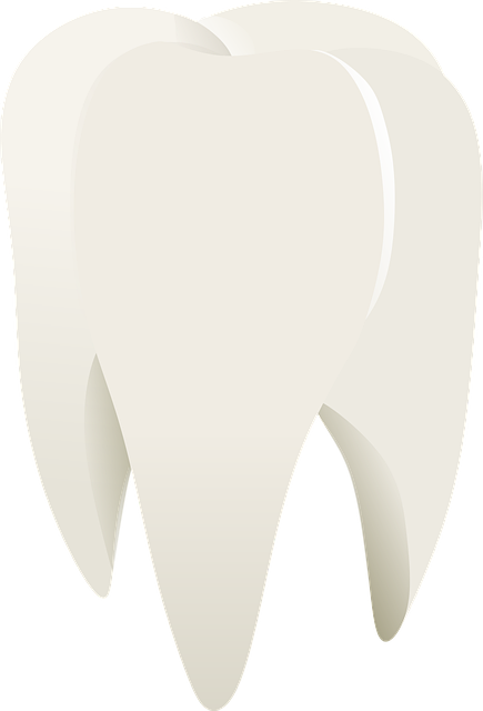 pediatric dentist