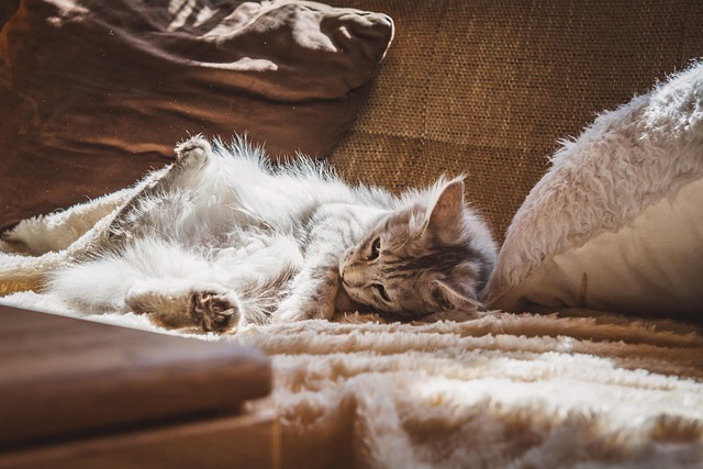 Pet deposit requirements in Albany apartments