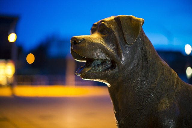 Pet-friendly apartments Albany
