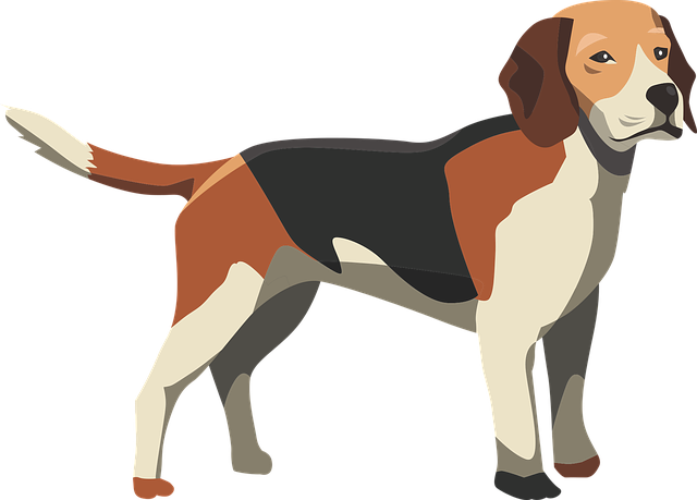 Pet friendly neighborhoods in Albany
