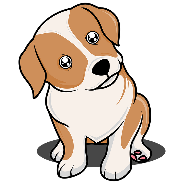 Pet friendly neighborhoods in Albany