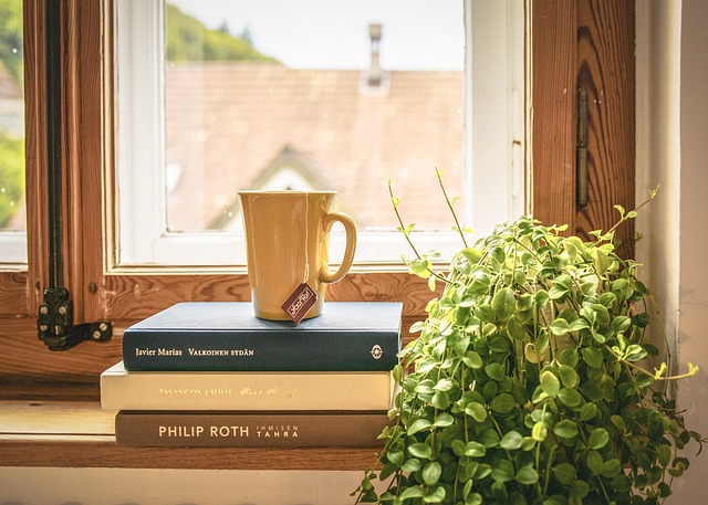 Pet-friendly studio apartments in Albany