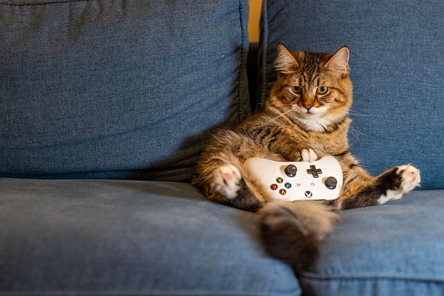 Pet sitting services near me in Albany, NY