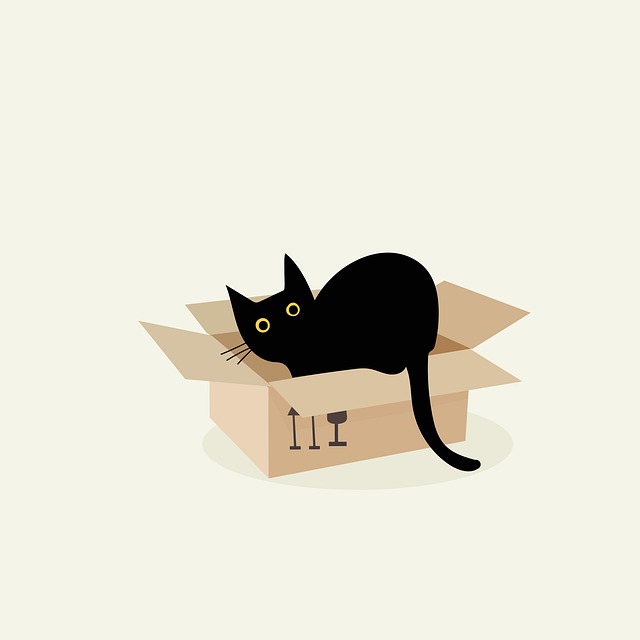 Pet sitting services near me in Albany, NY