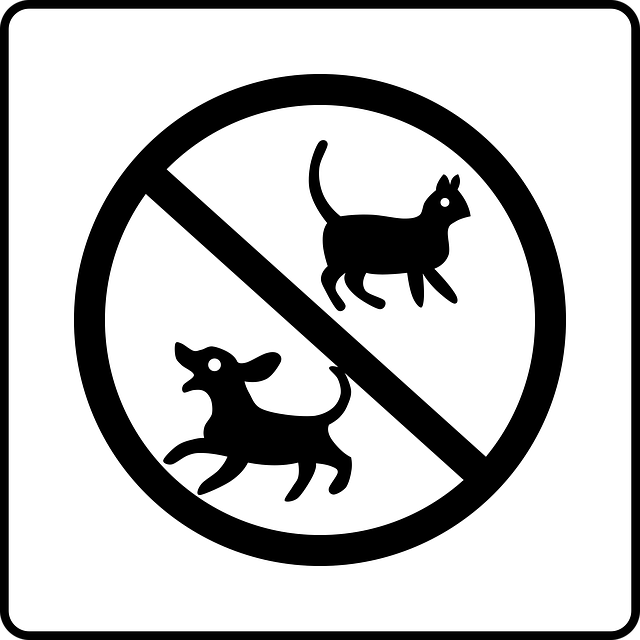 prohibited-bar-saratoga-springs-640x480-36410225.png