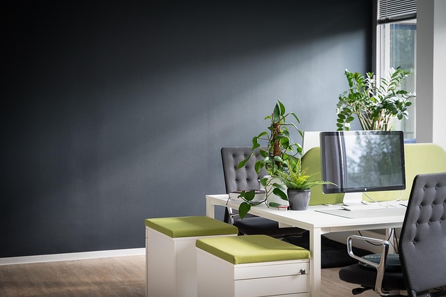 SEO agency Albany