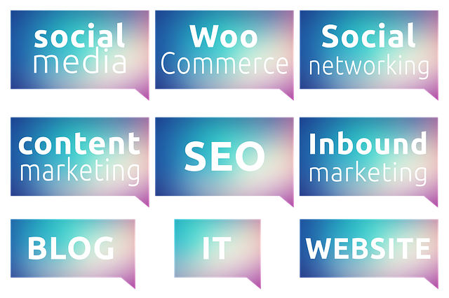 SEO agency Albany