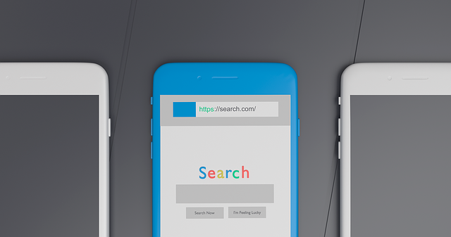 SEO agency Albany