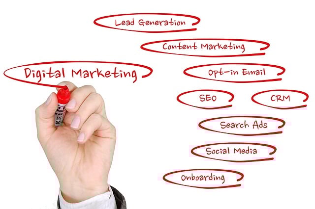 Unleash Online Growth: SEO Strategies for Albany Businesses