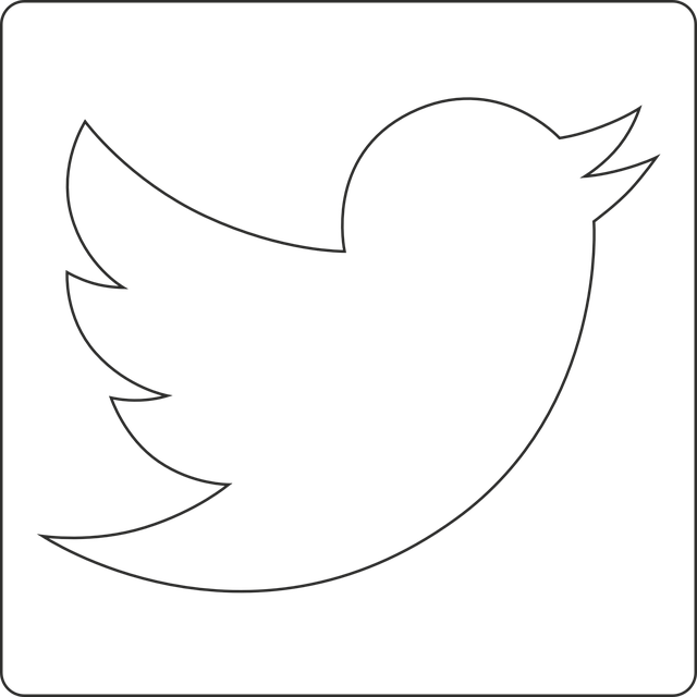 social media management agency Albany
