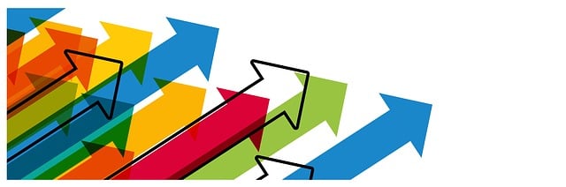 social media management agency Albany