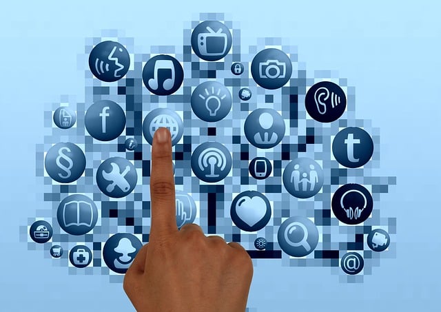 social media management agency Albany