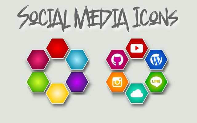 social media management agency Albany