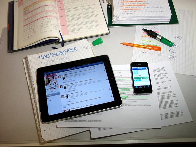 social media management agency Albany