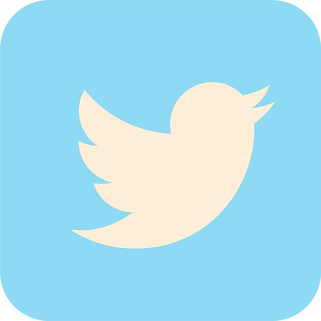 social media management agency Albany